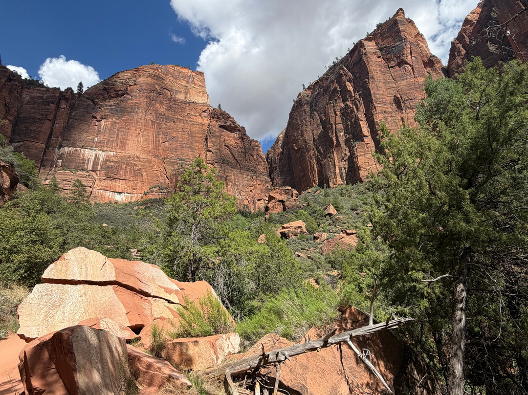 Canyon Trail Rides-锡安国家公园必去景点