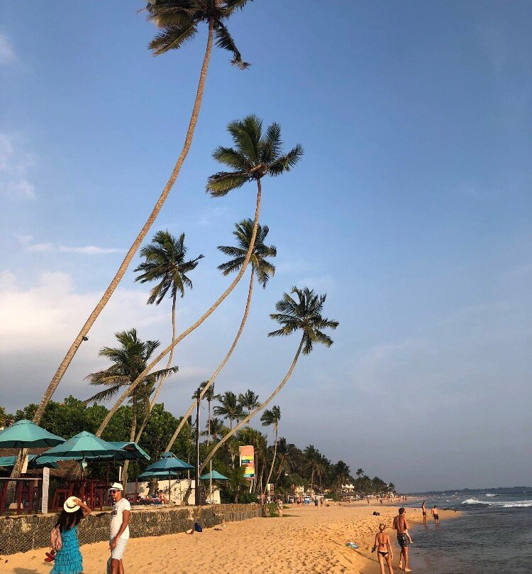 Elgant Island Tours-Katana必去景点