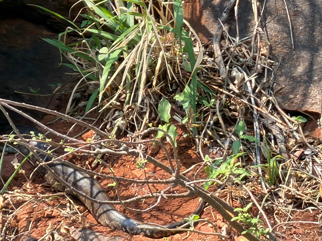 Blyde River Canyon Nature Reserve-普马兰加省必去景点