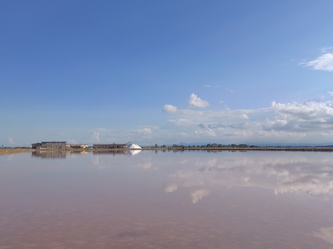Parco della Salina di Cervia-切尔维亚必去景点