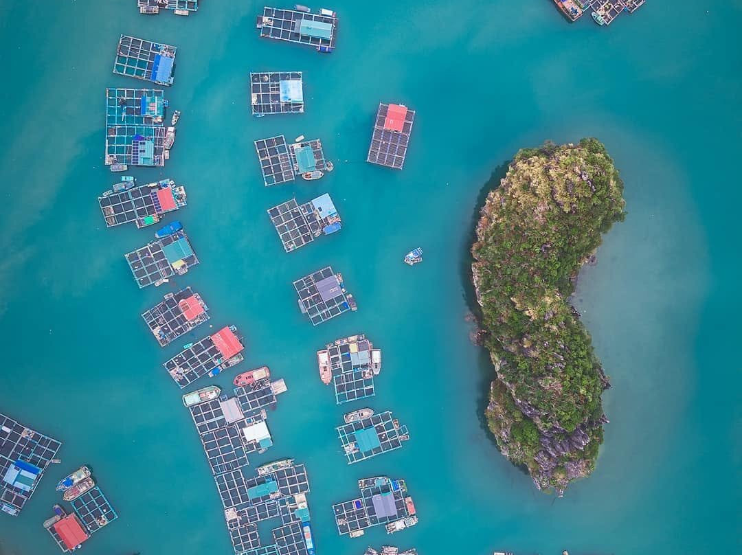Cua Van Floating Village-下龙湾必去景点