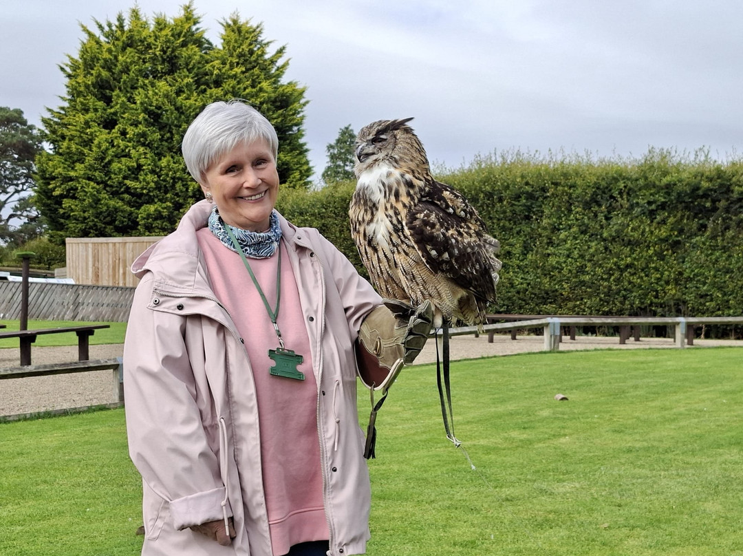 Thirsk Birds Of Prey Centre-瑟斯克必去景点