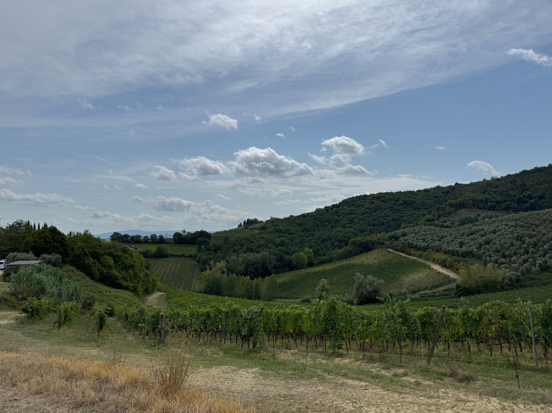 Italy Unfiltered-锡耶纳必去景点