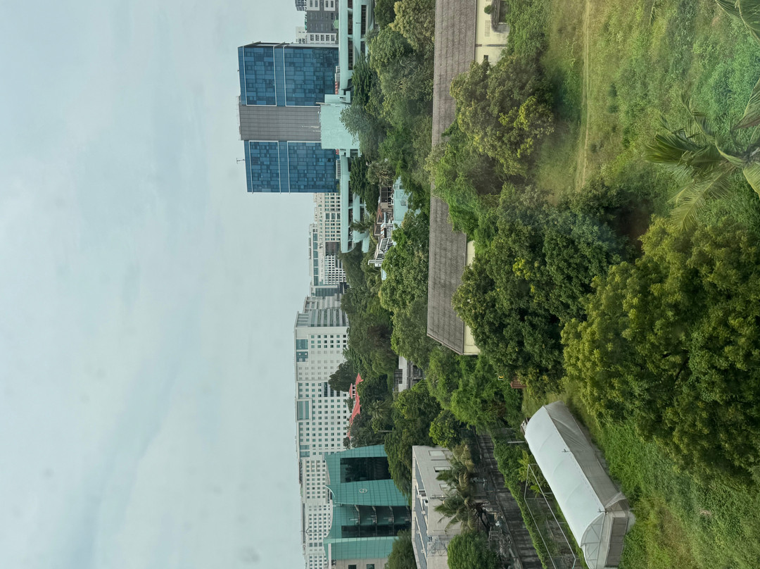 金奈羽毛拉达酒店主图