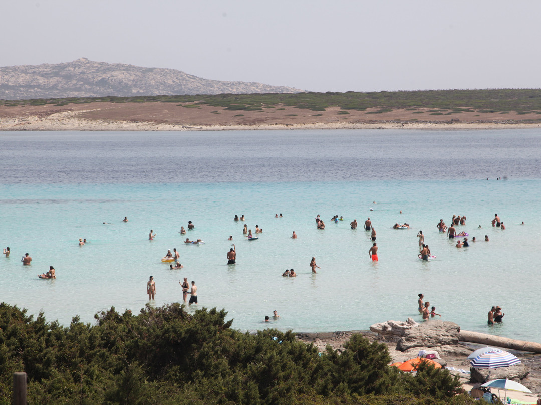 La Pelosa Beach-斯廷蒂诺必去景点
