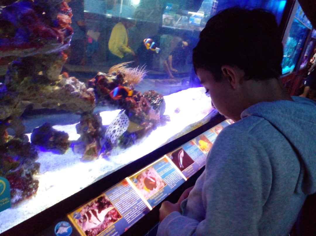 Ubatuba Aquarium-乌巴图巴必去景点