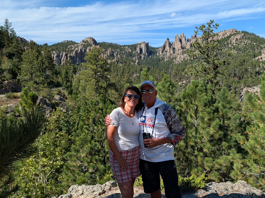 Needles Highway