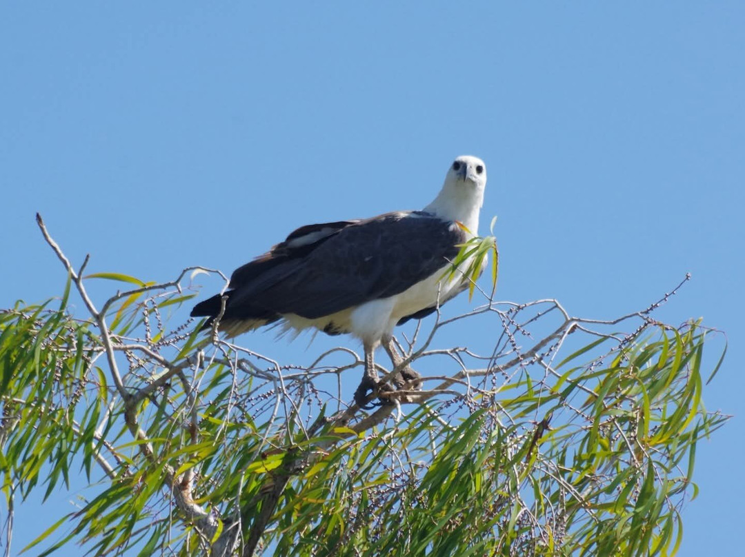 Wildlands Wetlands Safari Cruises-达尔文市必去景点
