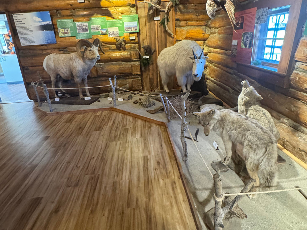 Yellowstone County Museum-比灵斯必去景点
