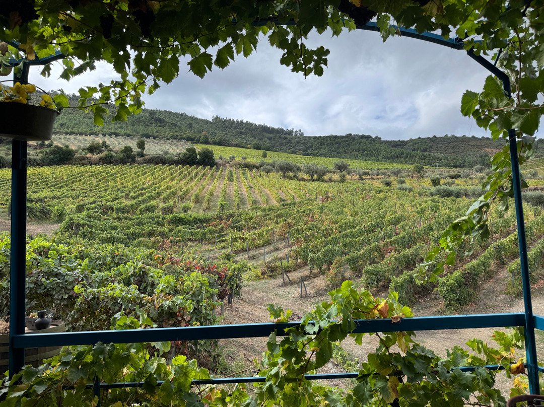 Quinta da Fonte do Milho-Provesende必去景点