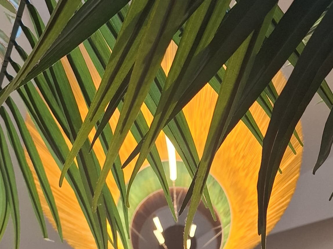 塞维利亚·阿尔加拉菲住宿主图