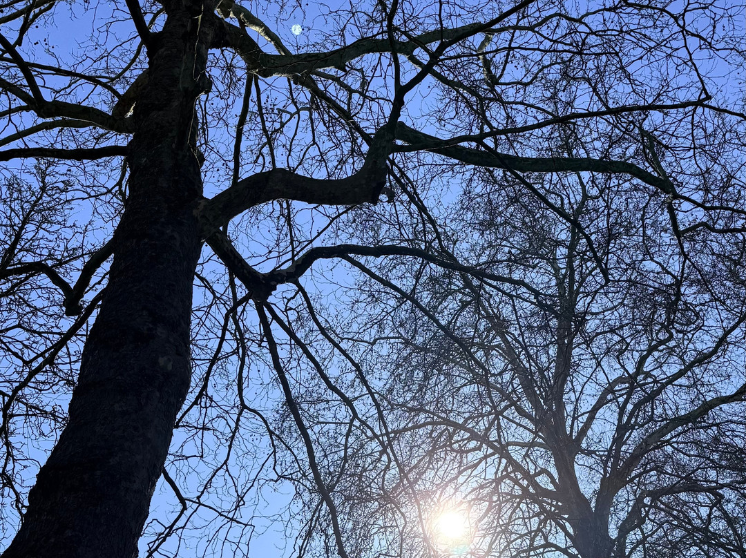Parc Barbieux-鲁贝必去景点