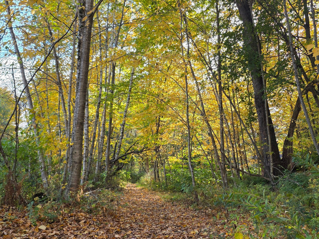 Stowe Recreation Path-斯托必去景点