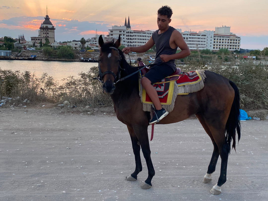 Belek Safari | Horse Riding Tour-Kumkoy必去景点
