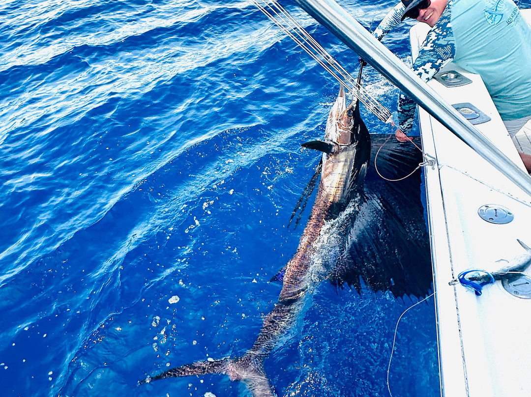 Maverick Sportfishing Charters-梦城必去景点
