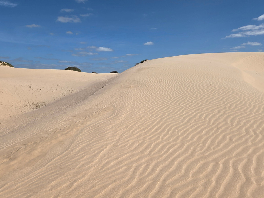 Mungo National Park-Balranald必去景点