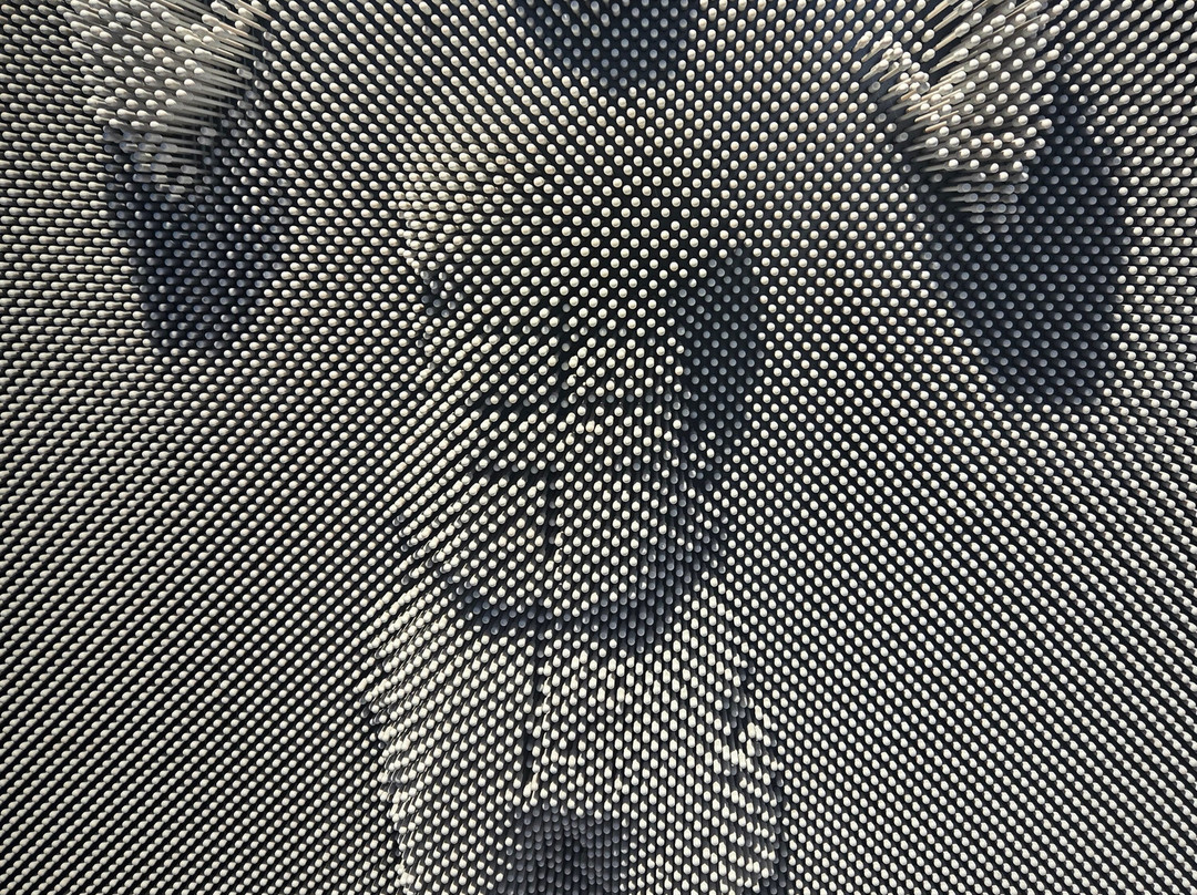 Museum of Illusions Panama-巴拿马城必去景点