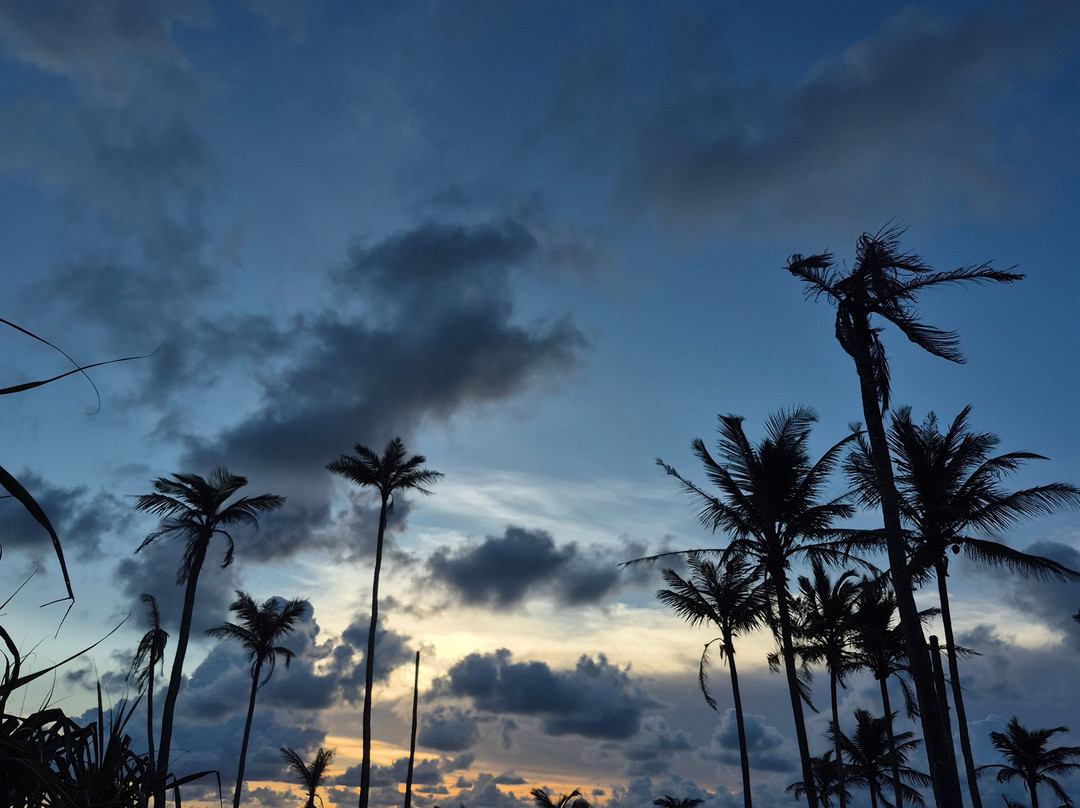 Coconut Tree Hill-美蕊沙必去景点