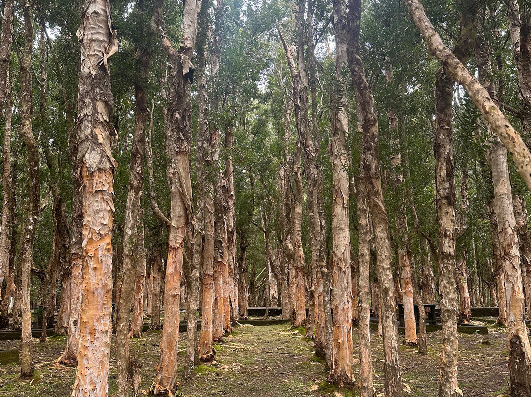 Alexandra Falls-Union Park必去景点