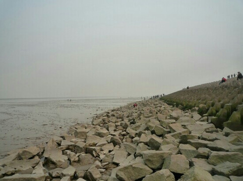 上海三甲港海滨旅游区-上海市必去景点