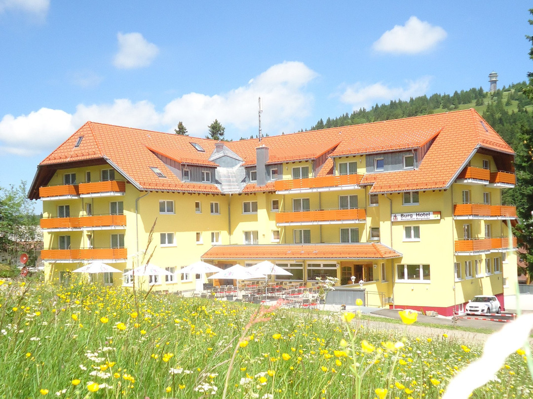 菲尔德山酒店住宿-Burg Hotel Feldberg