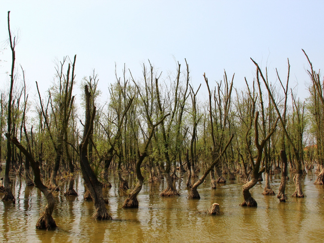 长兴仙山-长兴必去景点