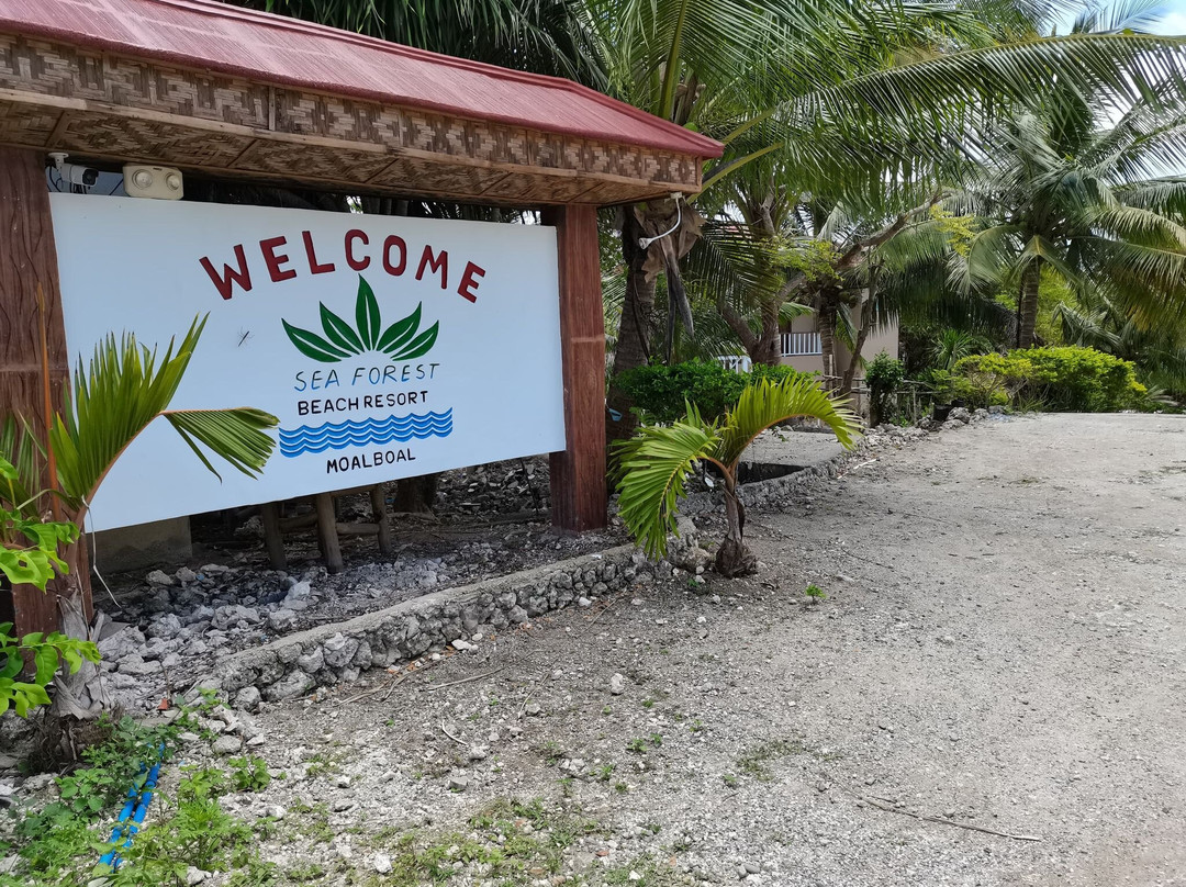 OYO 674 Sea Forest Beach Resort