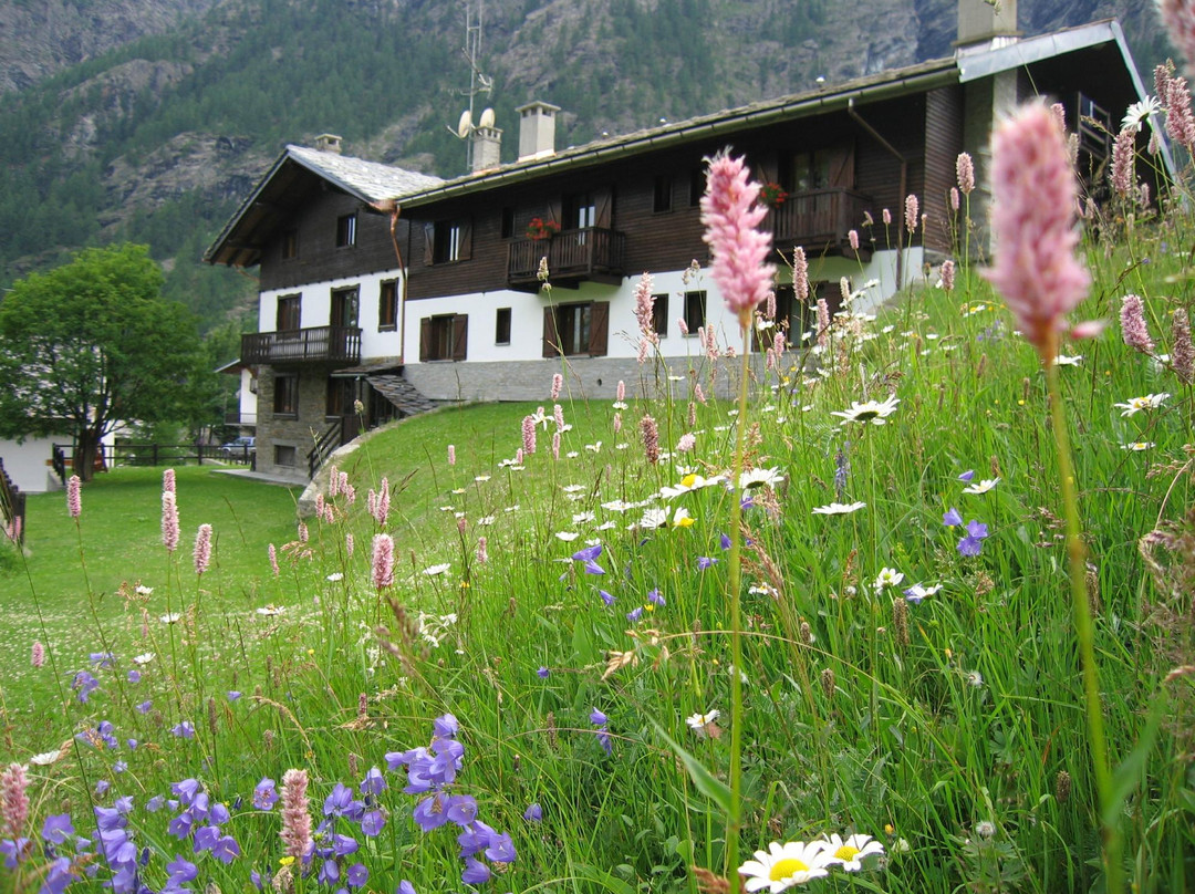 Gressoney-la-Trinité酒店住宿-丽斯欧克酒店
