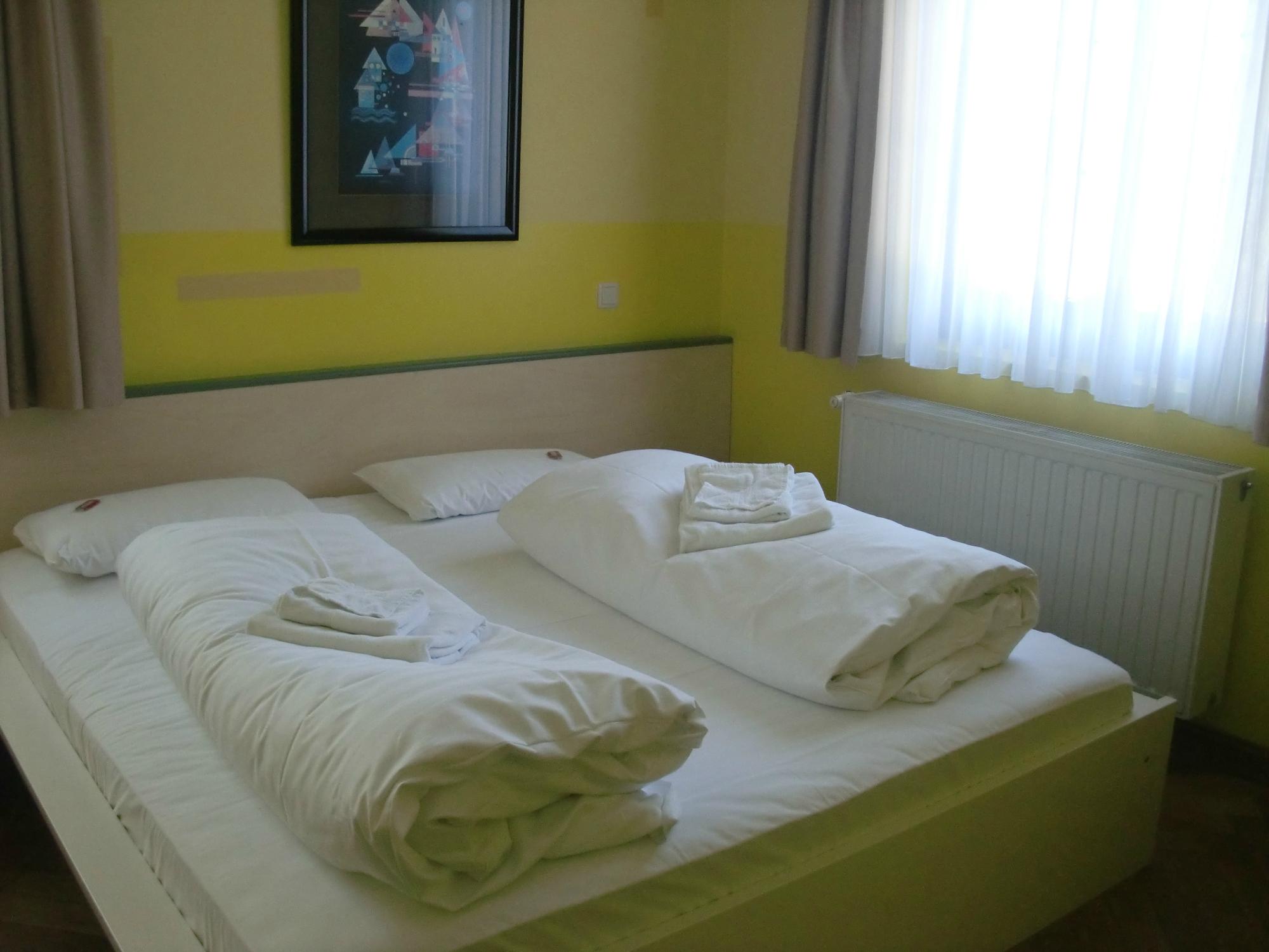Hotel Weisser Schwan-客卧