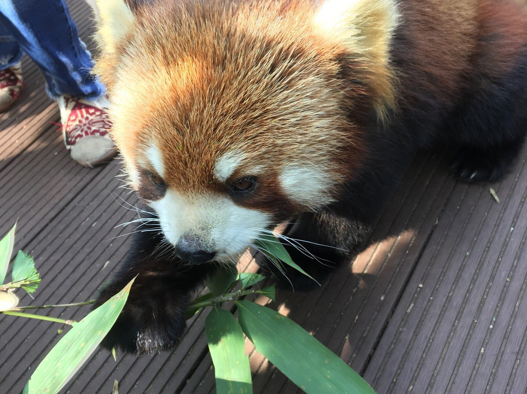 莱阳河国家森林公园-普洱市必去景点