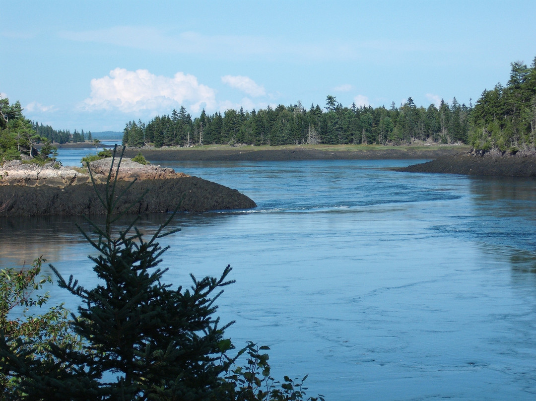 Pembroke旅游攻略图片