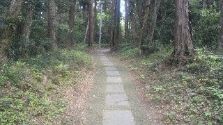 七滨町旅游攻略图片