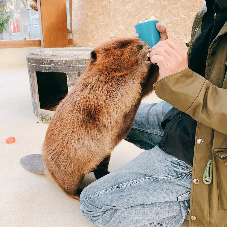 Torius Fureai Zoo景点图片