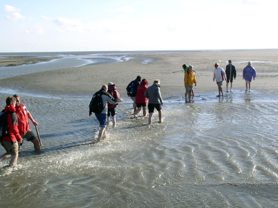 Wattfuehrergemeinschaft Dithmarscher Nordseekueste景点图片