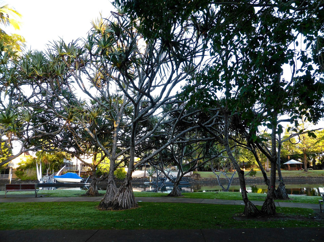 布罗德海滩旅游景点-Cascade Gardens