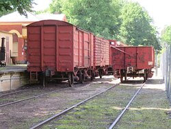 Murray to the Mountains Rail Trail-布赖特必去景点