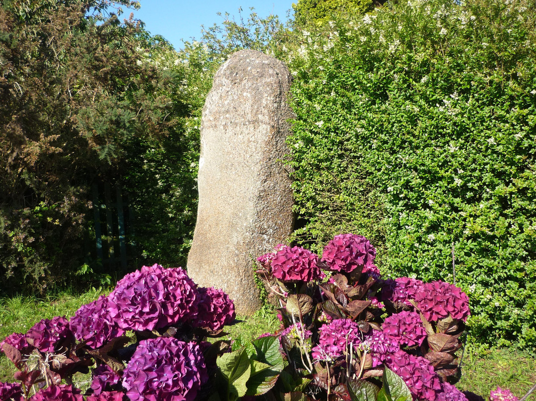 Menhir de Trémarche à Trégastel景点图片