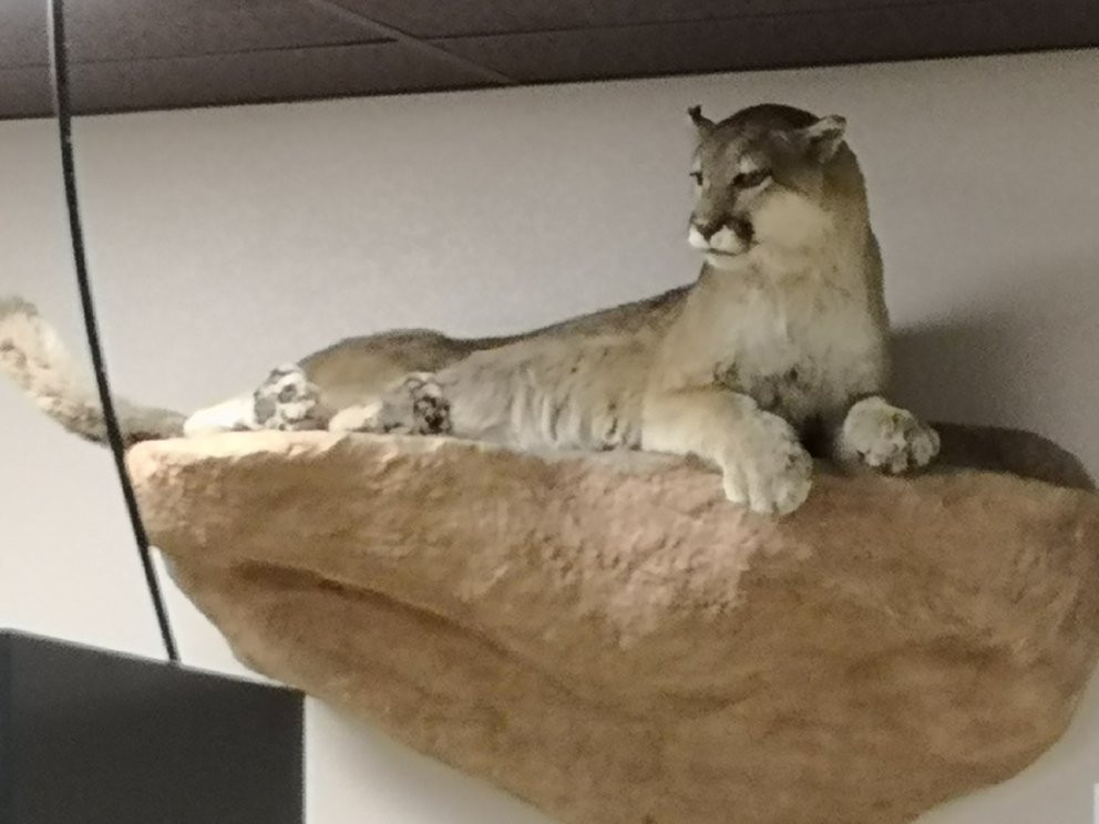 Apple Valley Legacy Museum-Apple Valley必去景点