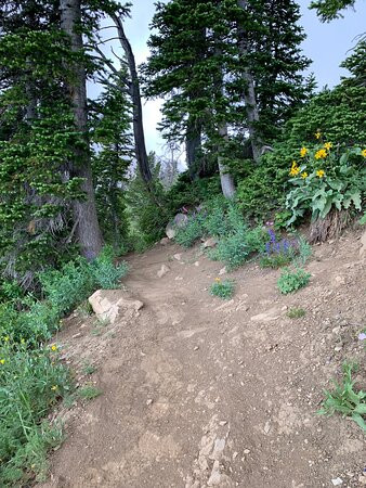 Bridger Gondola-提顿村必去景点