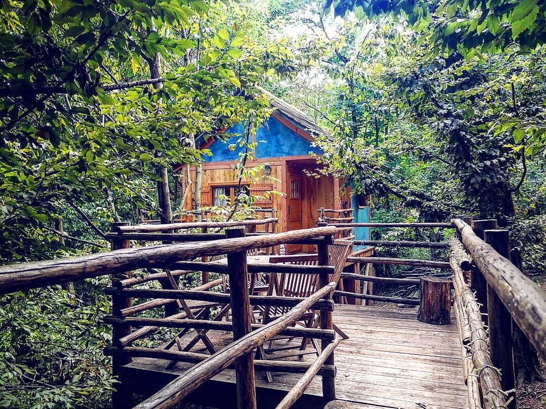 Bed and Breakfast Il Giardino dei Semplici主图
