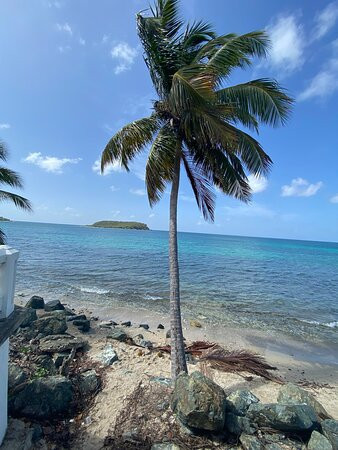 Trade Winds Guesthouse主图