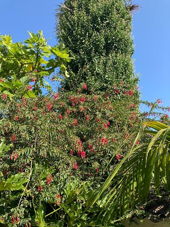 Les Jardins de La Boirie景点图片