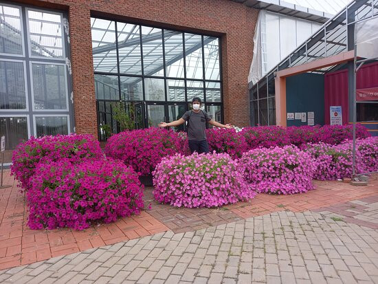 World Flower Botanical Garden-牙山市必去景点