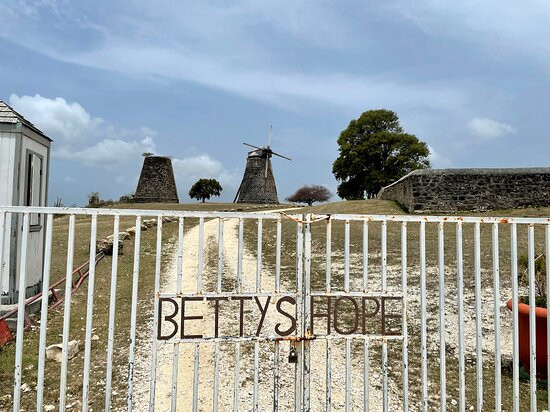 Shelly Jay's Jeep Tours-安提瓜必去景点