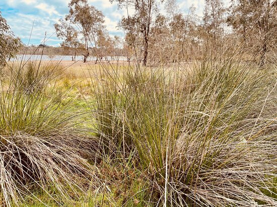 Barkers Creek Reservoir-Harcourt必去景点