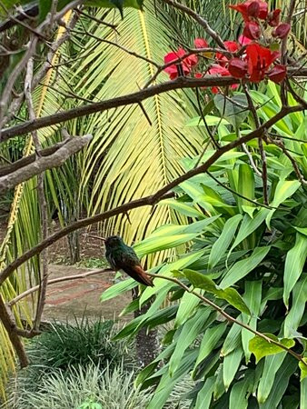 Hotel and Restaurante Avicar主图