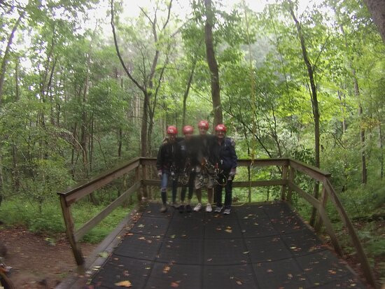Tree Frog Canopy Tours Zipline景点图片
