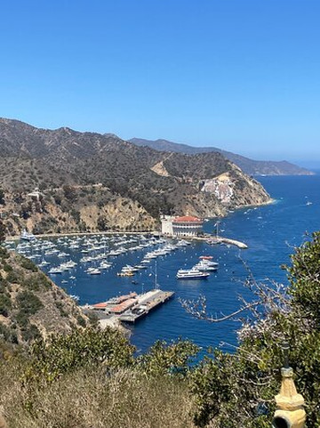 Catalina Flyer-纽波特海滩必去景点