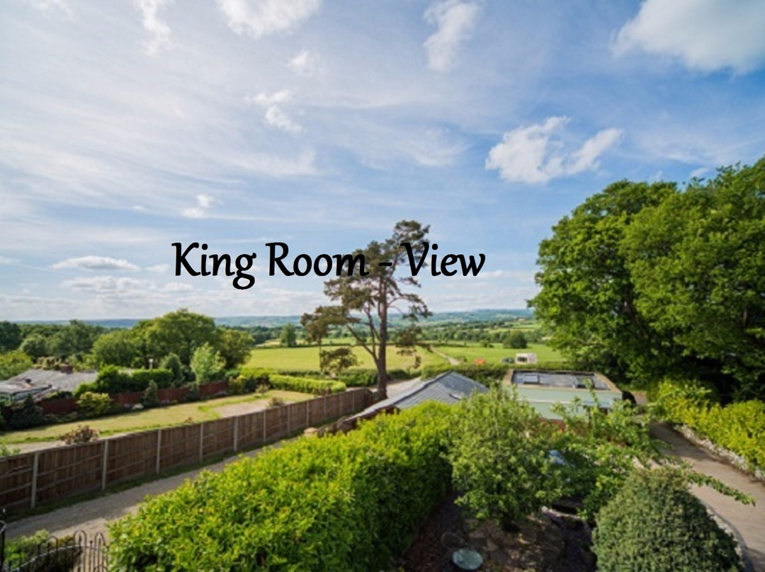 Hawkchurch酒店住宿-Netherleigh Bed and Breakfast