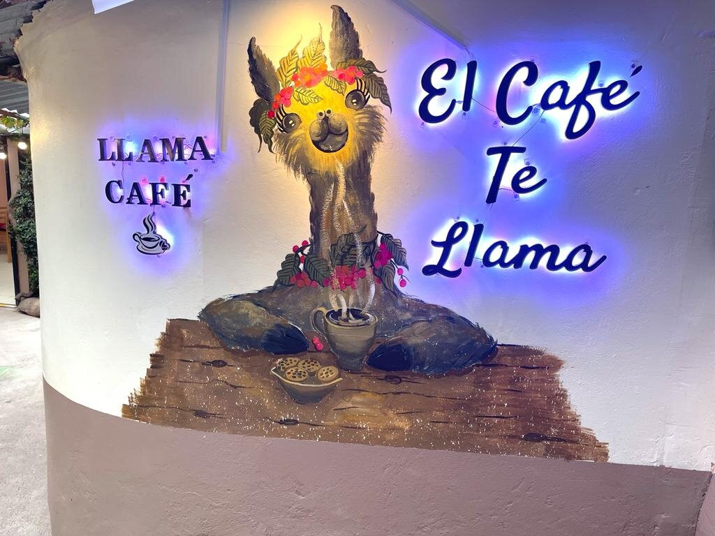 Llama Café I